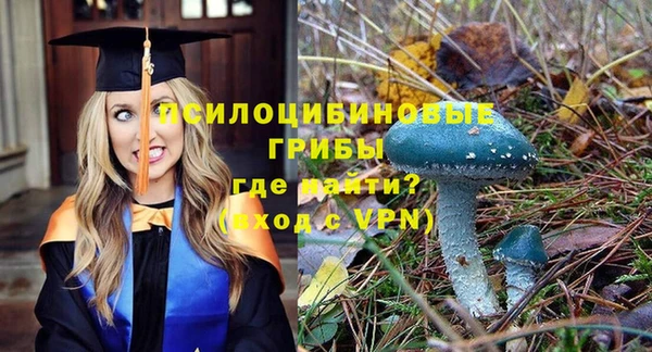 ALPHA PVP Заволжье