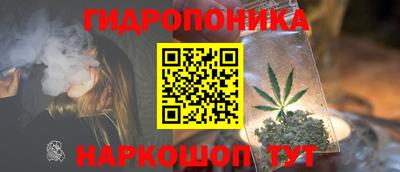 PSILOCYBIN Заволжье