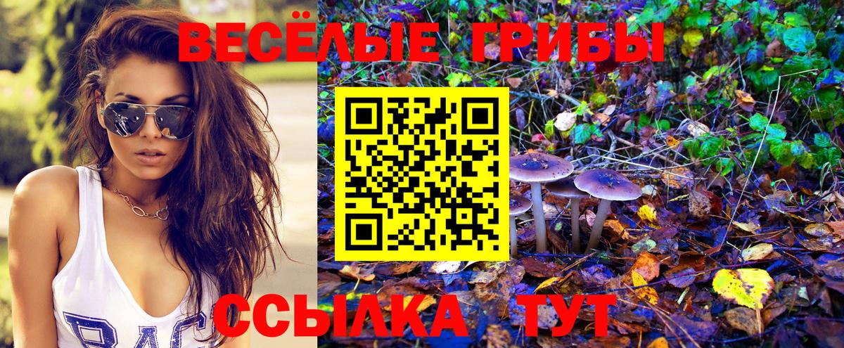 Междуреченск  Псилоцибиновые грибы Psilocybe  магазин  наркотиков  Вход с VPN 