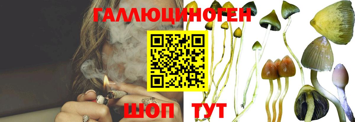 Псилоцибиновые грибы прущие грибы Междуреченск